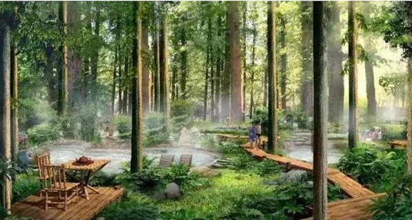 森林康养是大健康产业最好的发展方向